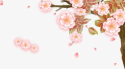 春天手绘樱花花朵花瓣素材