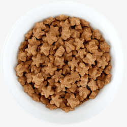狗碗宠物动物饲料食品饼干营养猫粮高清图片