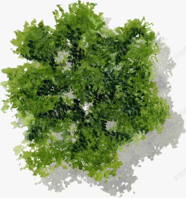 深绿色树冠树木水彩风手绘带投影png免抠素材_88icon https://88icon.com 手绘 树俯视图 树冠 树头 树木 水彩风 深绿色