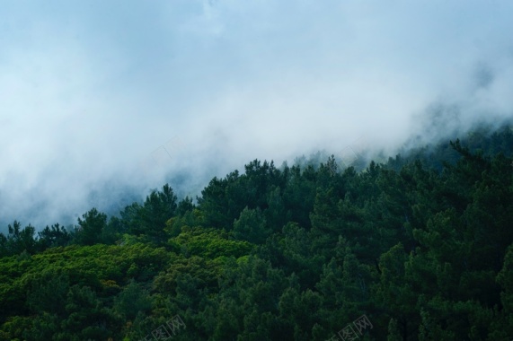 山林景色背景图背景