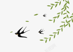 春天柳树燕子飞来飞去素材