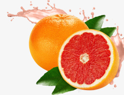 柚子素材柚子产品图红心柚子素材