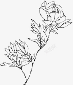 水墨花朵元素76素材