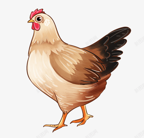 鸡元素设计图png免抠素材_88icon https://88icon.com 鸡 鸡元素 设计图 ps手绘