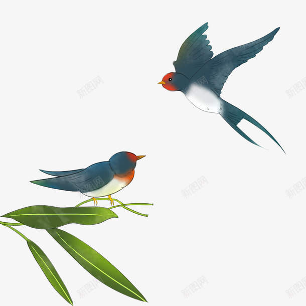 两只燕子在枝头嬉闹png免抠素材_88icon https://88icon.com 动物 春天 燕子 紫色的燕子 装饰