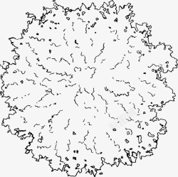 树木叶冠黑白风手绘线稿素材
