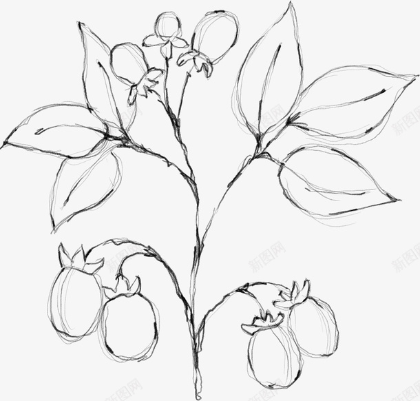 水墨花朵元素38png免抠素材_88icon https://88icon.com 手绘鲜花 水彩花朵 时尚创意花朵 古风中国风花朵 春天中国风 水墨山水画 杨柳 踏春水墨花 万物复苏 中国风 中式 卡通 古典 古风 文艺 春天 水墨 水彩 清新 花朵 花瓣 飘逸 鲜花 叶子