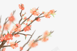 春天樱花装饰元素树枝素材