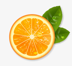 素食主义橙子叶子水果香橙高清图片