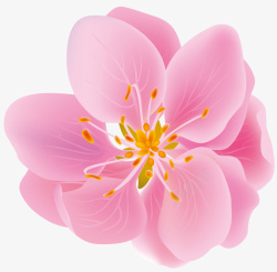 春分装饰元素手绘粉色桃花樱花素材