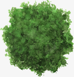 嫩绿色大树树冠水彩风手绘素材