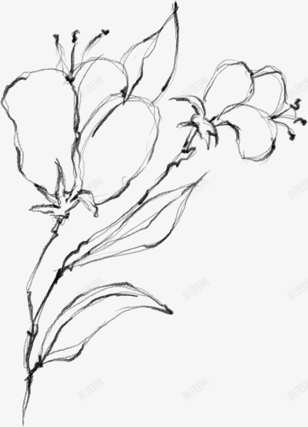 水墨植物元素17png免抠素材_88icon https://88icon.com 万物复苏 中国风 传统风景画 卡通 古典 古风 古风中国风花朵 叶子 手绘鲜花 文艺 时尚创意花朵 春天 春天中国风 杨柳 水墨 水墨山水画 水彩 水彩花朵 清新 花朵 花瓣 踏春水墨花 飘逸 鲜花