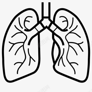 支气管肺炎肺呼吸支气管图标