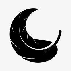 鸟绒毛羽毛鸟绒毛高清图片
