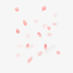 粉色漂浮樱花花瓣杂七杂八素材