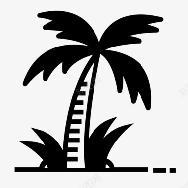 巴西标志棕榈巴西椰子图标