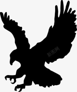 鹰黑siluet 图像免费下载鸟素材