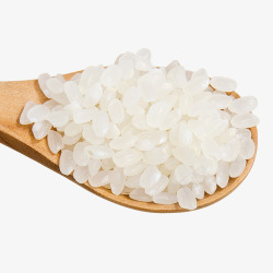 大米食物素材
