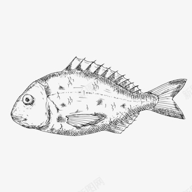 多拉多鱼食品地中海图标