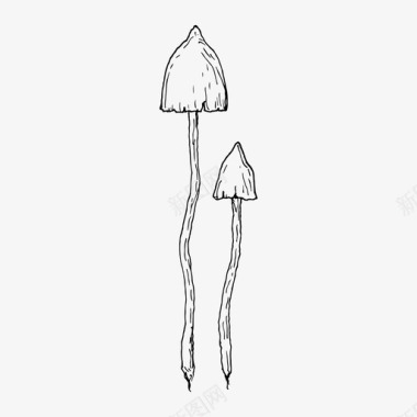 神秘伞菌森林蘑菇图标