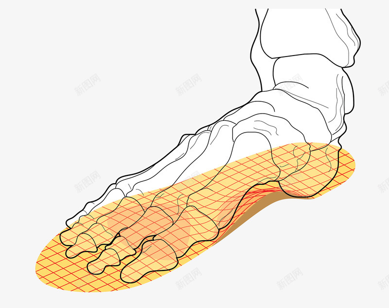 Tech illustration of metatarsal and shoe insole insertsX  鞋科技png免抠素材_88icon https://88icon.com 科技