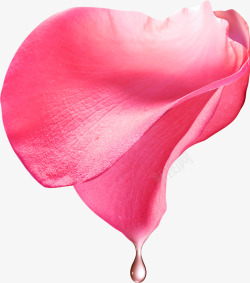 玫瑰花滴水粉色花瓣花瓣素材