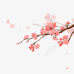 春天樱花 花朵 春季 恋蝶设计自然素材