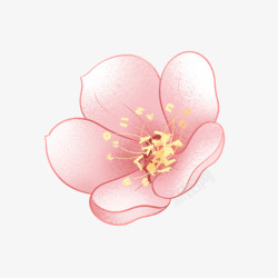 春天樱花 花朵 春季 恋蝶设计花素材