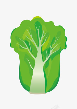 蔬菜绿白菜插画扁平高清图片