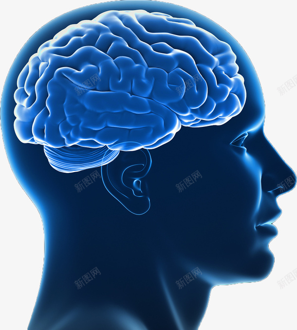 大脑科技医学png免抠素材_88icon https://88icon.com 大脑 科技 医疗 蓝色
