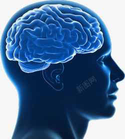 蓝色人大脑大脑科技医学高清图片