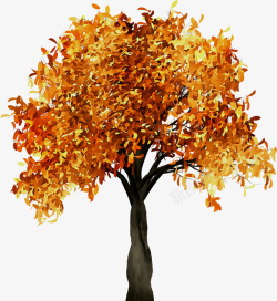 黄叶树冠树木水彩中国风秋天的一棵树高清图片