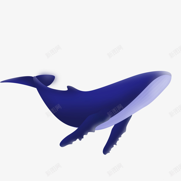 动物海水生物鲸鱼手绘png免抠素材_88icon https://88icon.com 动物 海水生物 鲸鱼 手绘