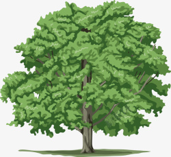 绿色大树木素材素材