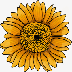 手绘向日葵花朵素材素材