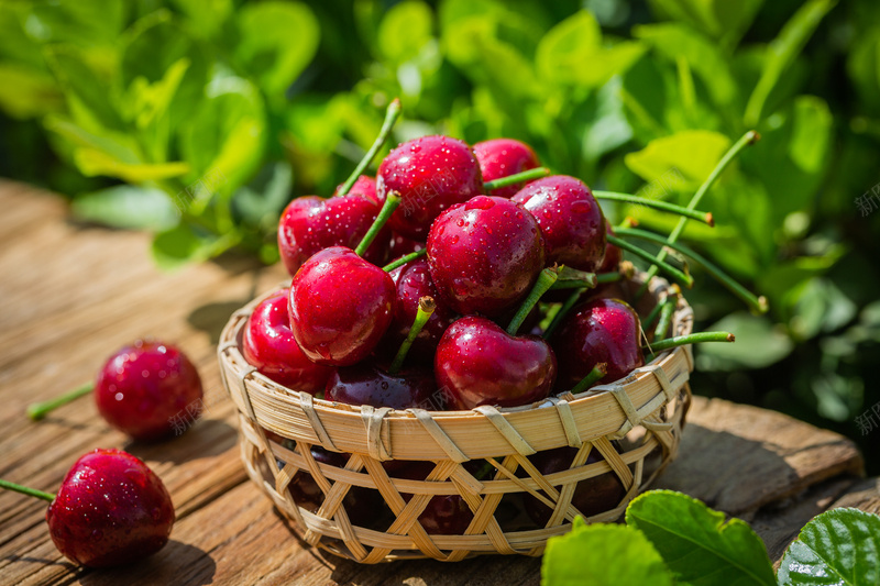 大樱桃车厘子jpg设计背景_88icon https://88icon.com 大樱桃 车厘子 樱桃 水果背景