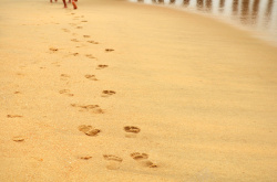沙滩上男人的脚印大海沙滩脚印温馨高清图片