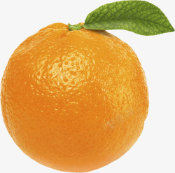 橙色橙子新鲜水果橘子免扣素材高清图片