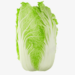 绿色蔬菜新鲜大白菜素材