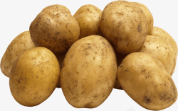 新鲜的土豆成堆土豆PNG素材高清图片