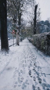 冬天的雪景小路背景