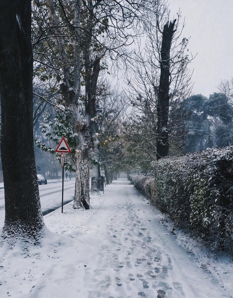 冬天的雪景小路jpg设计背景_88icon https://88icon.com 冬天 雪景 小路 树木