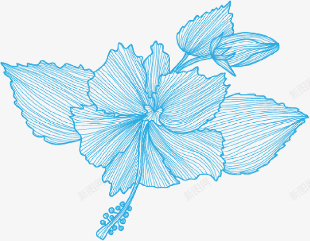 浅蓝色手绘小清新花朵png免抠素材_88icon https://88icon.com 浅蓝色 手绘 清新 花朵