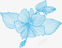 浅蓝花朵浅蓝色手绘小清新花朵高清图片