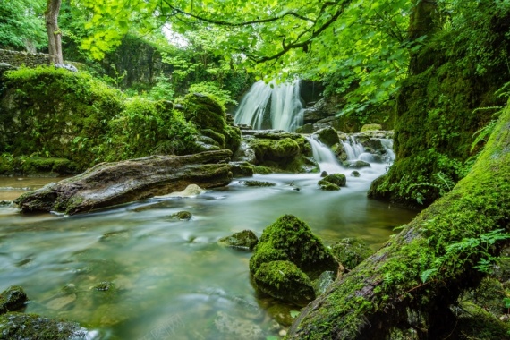 绿色森林瀑布自然风景背景