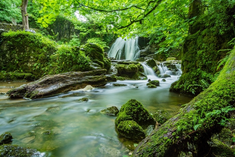 绿色森林瀑布自然风景jpg设计背景_88icon https://88icon.com 绿色 森林 瀑布 风景