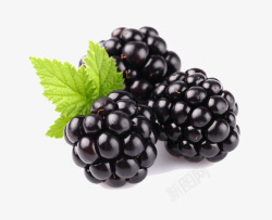 树莓桑葚新鲜水果免扣素材高清图片