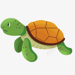 海龟的动物王国手绘卡通海龟高清图片