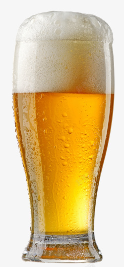 啤酒酒花高清免扣啤酒素材高清图片