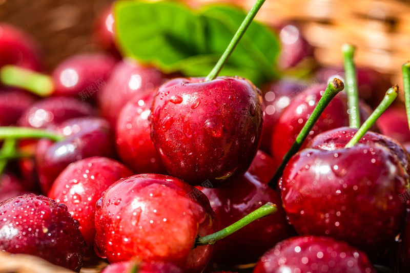车厘子大樱桃jpg设计背景_88icon https://88icon.com 车厘子 大樱桃 实拍图片 背景